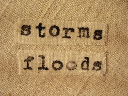 Climate Crisis: Storms/Floods (inside text detail), Nan Genger