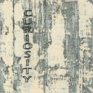 curiosity (embroidery), 7" x 7," Nan Genger